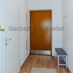 Rent 1 bedroom apartment of 11 m² in Leoben