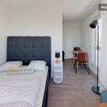 Rent 1 bedroom apartment of 18 m² in Villeurbanne