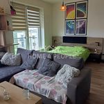 Rent 1 bedroom apartment of 41 m² in Pilsen