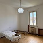 Rent 4 bedroom apartment of 75 m² in Pisa