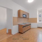 Rent 2 bedroom apartment of 75 m² in Znojmo