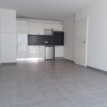 Rent 1 bedroom apartment of 45 m² in Cornebarrieu