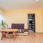 Rent 2 bedroom apartment of 37 m² in Świecie