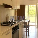 Rent 3 bedroom apartment of 40 m² in Ancona
