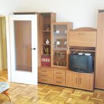 Rent 3 bedroom apartment of 54 m² in Bełchatów