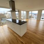 Rent 3 bedroom apartment of 58 m² in Birsfelden