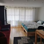 Rent 1 bedroom apartment of 34 m² in Lauf