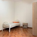 Affitto 3 camera casa di 90 m² in Catanzaro