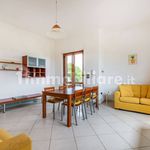 Rent 4 bedroom house of 85 m² in Carovigno