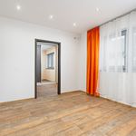 Rent 1 bedroom house of 181 m² in Plzeň