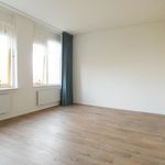 Rent 1 bedroom apartment of 29 m² in Berkel En Rodenrijs
