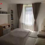 Rent 2 bedroom apartment of 68 m² in Brno