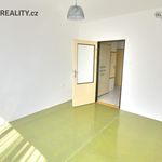 Rent 3 bedroom apartment in Brada-Rybníček