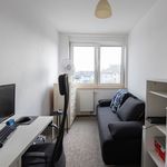 Rent 1 bedroom apartment of 41 m² in Wrocław