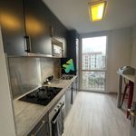 Rent 1 bedroom apartment of 82 m² in Perpignan