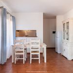 Rent 2 bedroom apartment of 70 m² in Palau