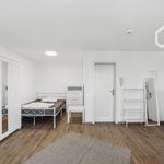 Rent 1 bedroom apartment of 28 m² in Nürnberg