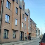 Rent 1 bedroom apartment in Puurs-Sint-Amands