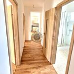 Rent 3 bedroom apartment of 98 m² in Píšťany