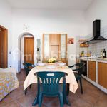 Rent 3 bedroom apartment of 50 m² in Alcamo