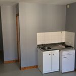 Rent 1 bedroom apartment of 29 m² in Monistrol-sur-Loire