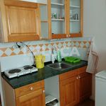 Rent 1 bedroom apartment of 50 m² in Kralupy nad Vltavou