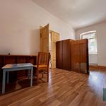 Rent 4 bedroom apartment of 100 m² in Plzeň