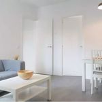 Rent 4 bedroom apartment in Peñarroya-Pueblonuevo