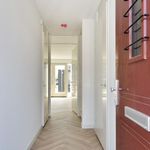 Rent 5 bedroom house of 134 m² in 's-Gravenhage