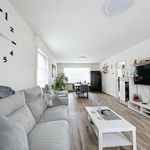 Rent 3 bedroom house of 151 m² in Desselgem