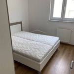 Rent 3 bedroom apartment of 57 m² in Rijeka