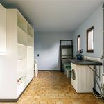 Rent 7 bedroom house of 2560 m² in Meerhout