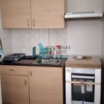 Rent 1 bedroom apartment of 70 m² in Municipal Unit of Rio