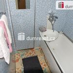 Rent 1 bedroom apartment of 34 m² in Vlašim
