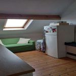 Room for rent in 1-bedroom apartment in Ixelles, Brussels