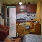Affitto 2 camera appartamento di 40 m² in Mascali