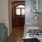 Affitto 1 camera appartamento di 30 m² in Marino