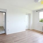 Rent 1 bedroom apartment of 42 m² in Strakonice