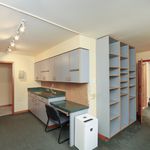 Rent 1 bedroom house of 535 m² in Arlington