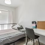 Rent 3 bedroom apartment in Putte