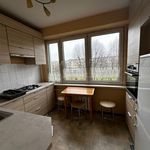 Rent 3 bedroom apartment of 48 m² in Wieluń