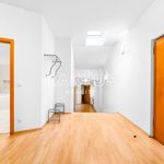 Rent 3 bedroom apartment of 125 m² in Ostrava