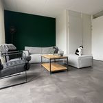 Rent 3 bedroom house of 116 m² in deventer