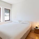 Alugar 1 quarto casa de 150 m² em Lavra