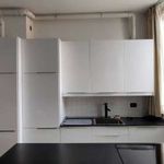 Rent 3 bedroom apartment of 67 m² in Bologna