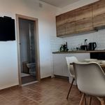 Najam 2 spavaće sobe stan od 120 m² u Bibinje