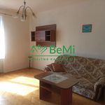 Rent 2 bedroom apartment of 56 m² in Petrovice I