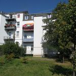 Rent 1 bedroom apartment of 4326 m² in Bad Reichenhall
