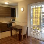 Rent 1 bedroom house of 38 m² in Budapest