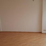 Rent 2 bedroom apartment of 50 m² in Plauen